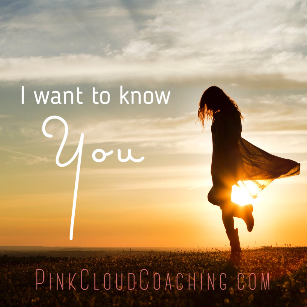 Pink Cloud Coaching Wholly Sober Teresa Rodden I want to know you