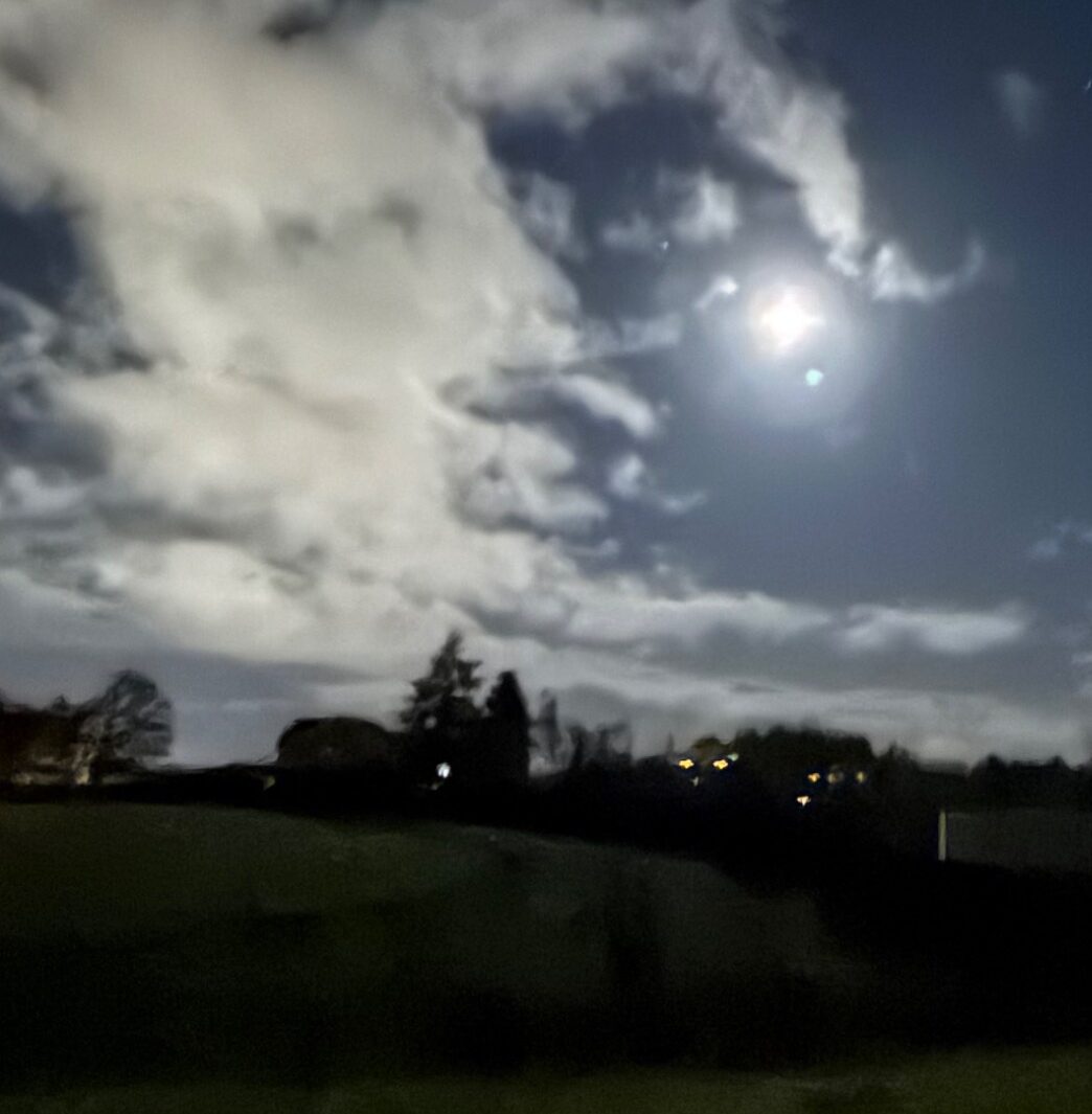 picture taken on my morning walk while contemplating this writing